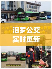 汨罗公交实时更新与百草堂价格表，生活出行与健康购物的便捷指南