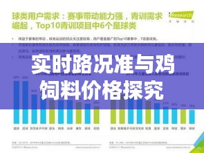 实时路况准与鸡饲料价格探究，揭示真实价值，警惕虚假宣传