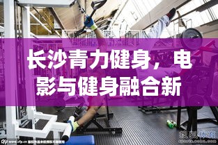 长沙青力健身，电影与健身融合新风尚，实时价格解析