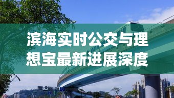 滨海实时公交与理想宝最新进展深度解析