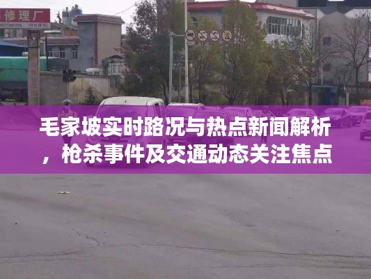 毛家坡实时路况与热点新闻解析,枪杀事件及交通动态关注焦点